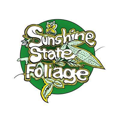 Sunshine State Foliage - rare tropical terrarium plants from Palm Bay, Florida