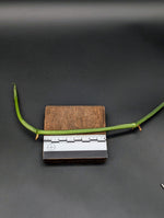 Amydrium zippleanum [TWO NODES]