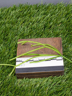 Rhipsalis baccifera [cutting]