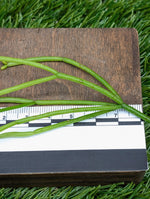 Rhipsalis baccifera [cutting]